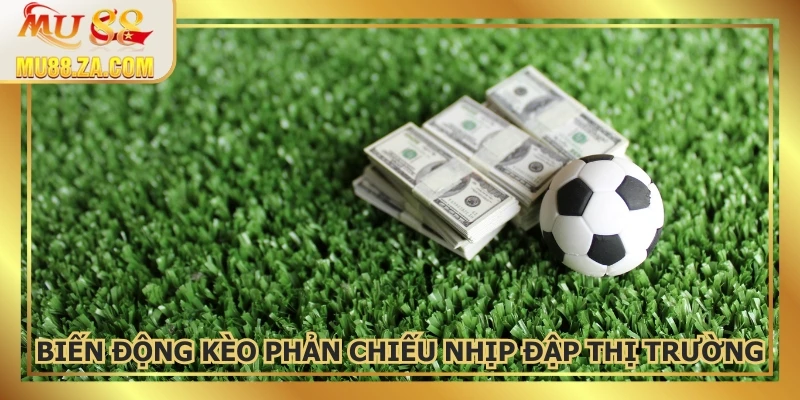 Biến động kèo tiết lộ xu hướng, người tinh ý dễ thắng lớn
