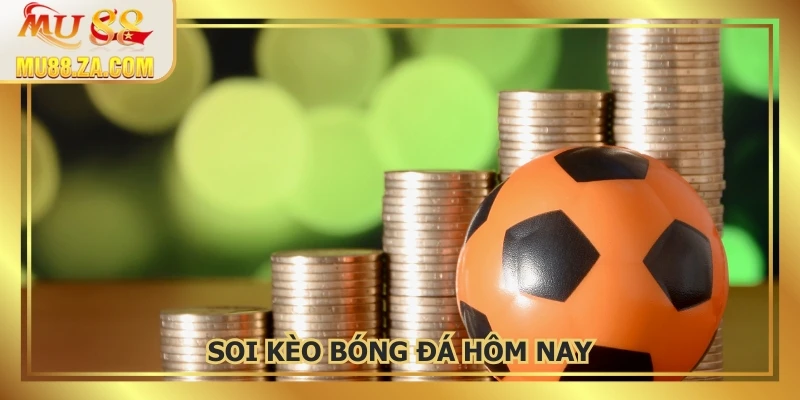 Soi Kèo Bóng Đá Hôm Nay - Kèo Thơm Hôm Nay, Dự Đoán Sát Thực